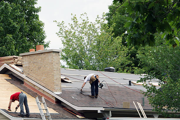 Best Roof Restoration Services  in Lucasville, OH